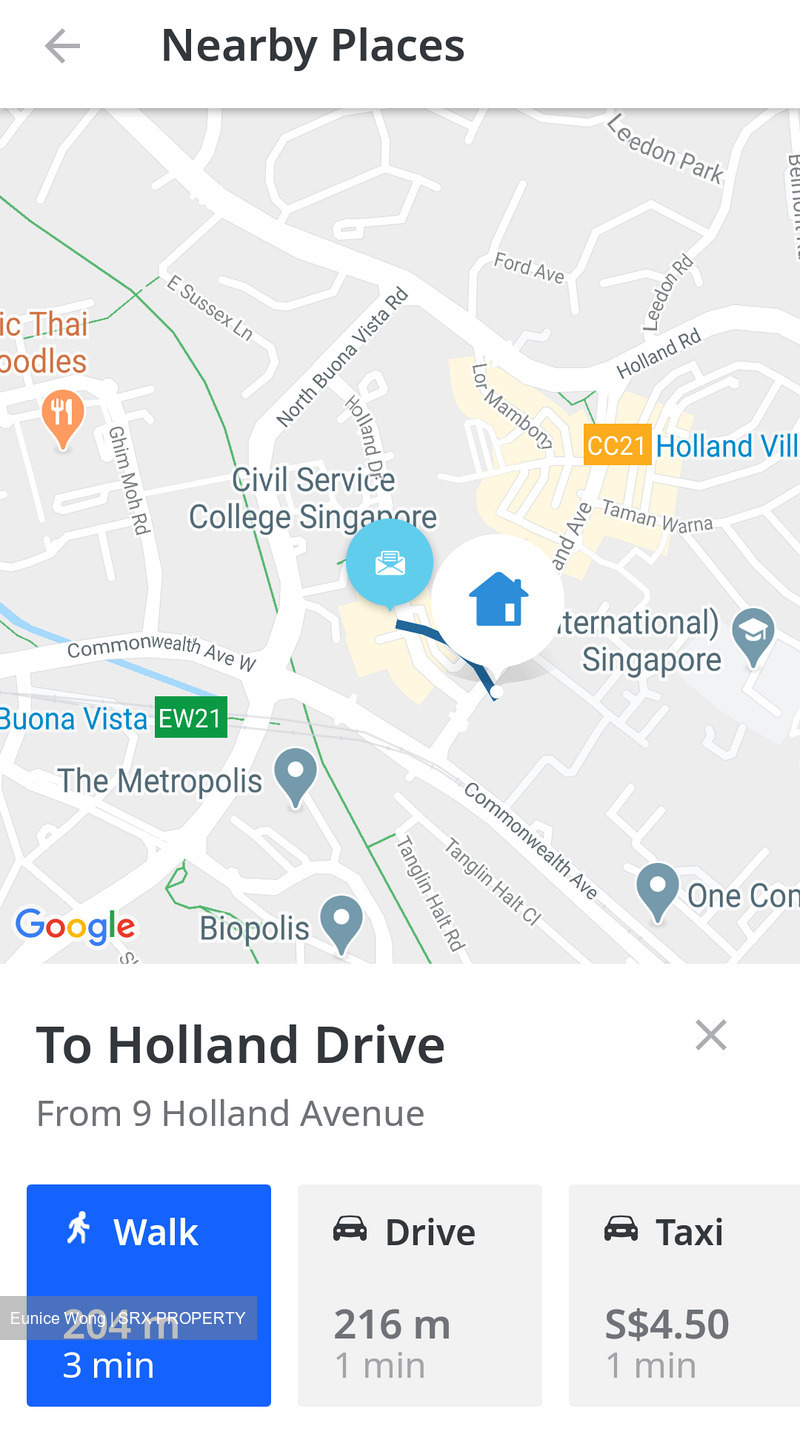 Holland Avenue (Queenstown),  #450728901